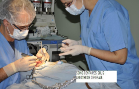  Dr Lotfi Lazrak Médecin-Dentiste à Tanger